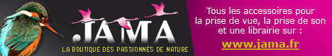 Site internet de Jama: jama.fr