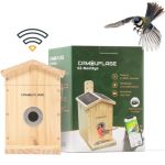 CAMOUFLAGE - Connected birdhouse with AI species detection | ez-nesteye