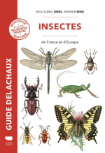 GUIDE DELACHAUX - INSECTES de France et d'Europe 