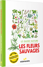 Le guide nature LES FLEURS SAUVAGES - 2ème édition