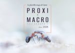 Close-up and macro photography: the most beautiful images of the year - 2025 edition
