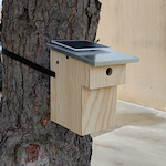 JAMA - Connected birdhouse with integrated camera