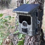 SOLAR WI-FI photo trap 112MP photo & 4K video