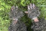 TRAGOPAN - Ghillie overgloves
