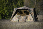 TRAGOPAN - MONAL V3 Hide
